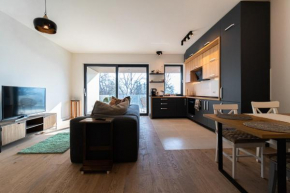 Mirador Bohemian Apt with views over Old Town and Tampa Mountain, near Poiana Brasov